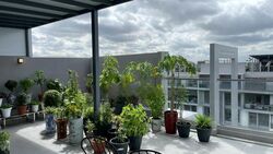 Parc Vera (D19), Condominium #468137731